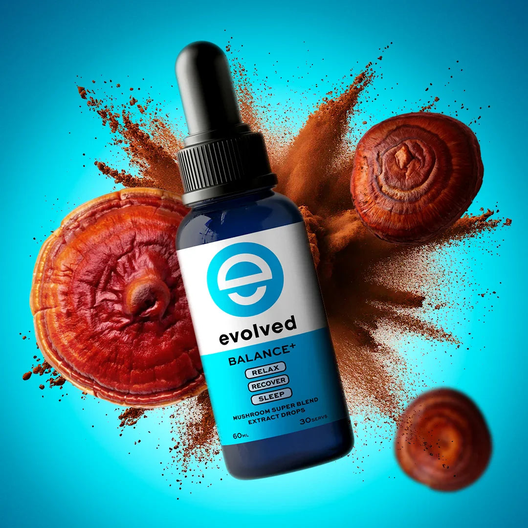 Balance+ Mushroom & Adaptogen Liquid Extract | Organic Reishi, Chaga & Ashawagandha for Calm, Sleep & Immunity